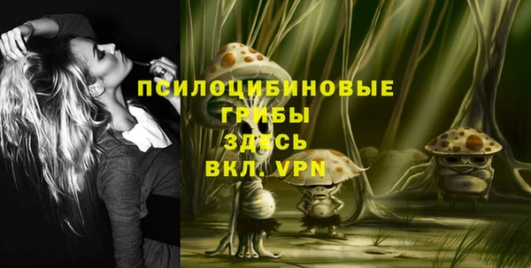 спайс Белокуриха